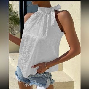 Leopard Neck Tie Blouse Top